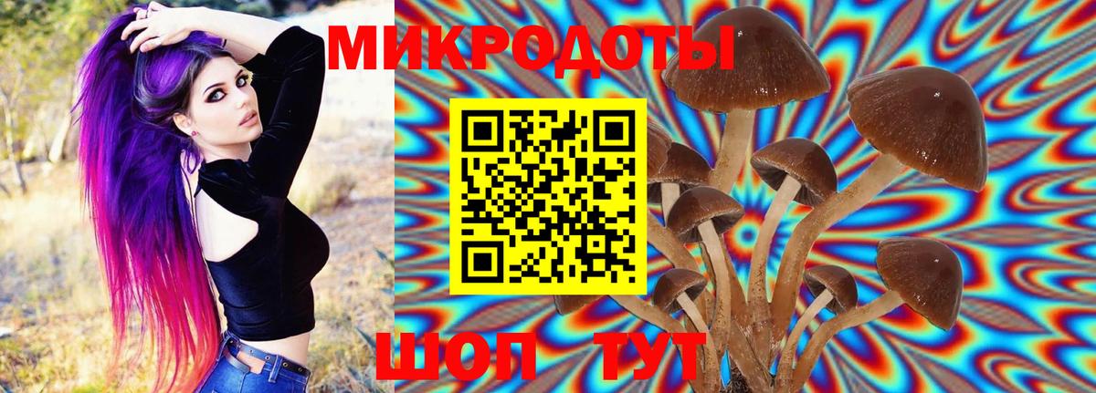 Галлюциногенные грибы MAGIC MUSHROOMS  Вход с VPN  Протвино 