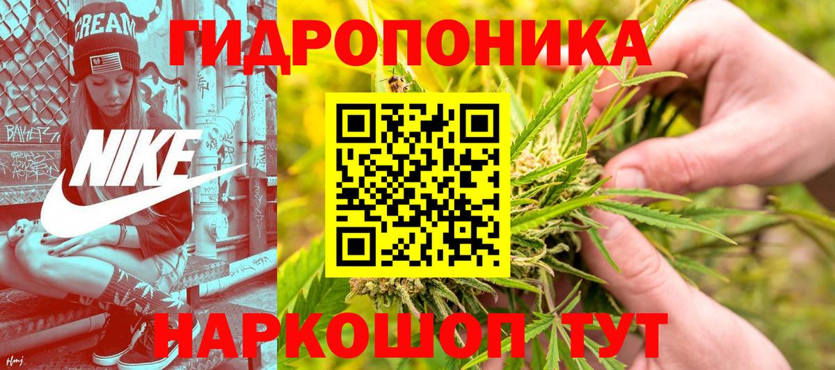 Канабис конопля  Канабис LSD WEED  Протвино  Канабис MAZAR  Вход с VPN  Каннабис ГИДРОПОН 